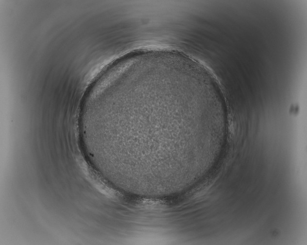 X0000115410487200911171403