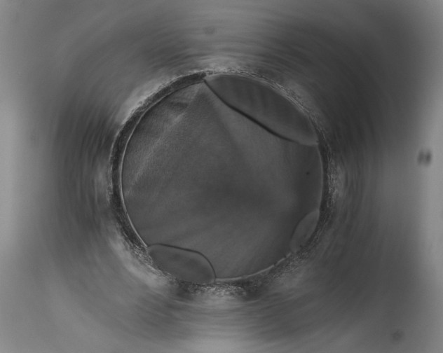 X0000115410488200911171403