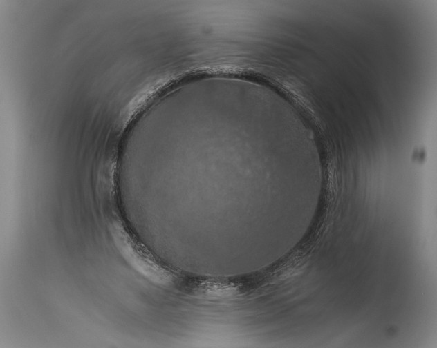 X0000115410491200911171403