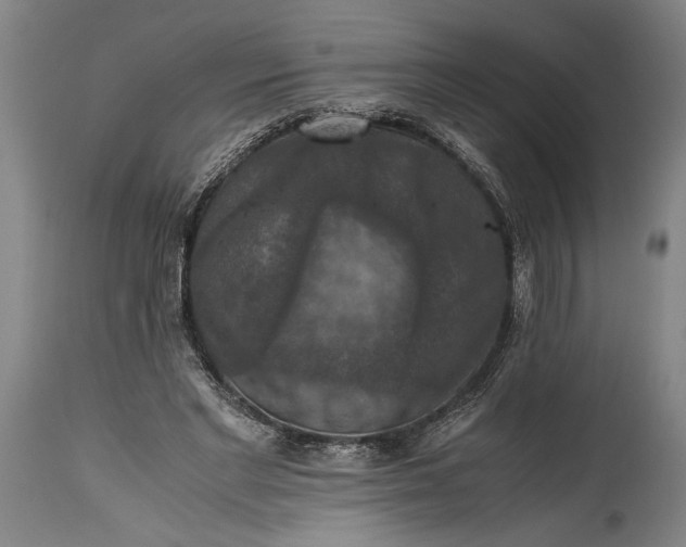 X0000115410493200911171403