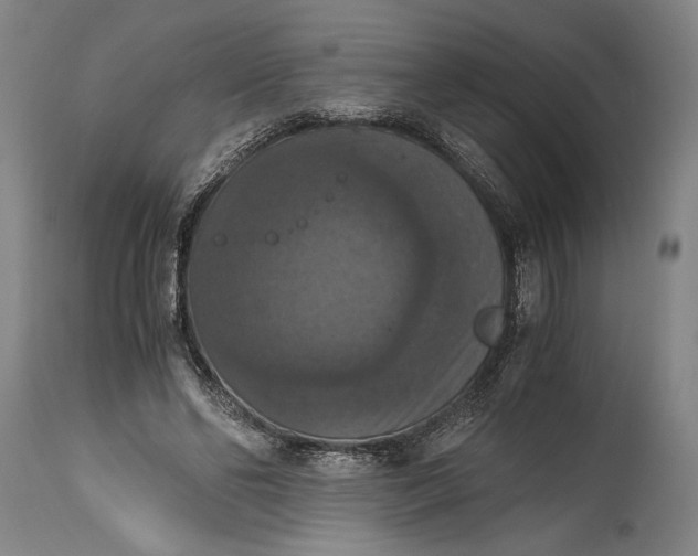 X0000115410494200911171403