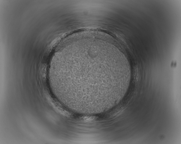 X0000115410495200911171403