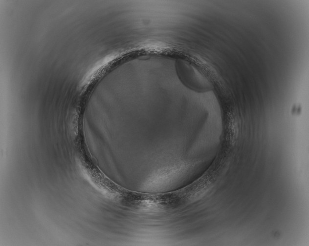 X0000115410496200911171403