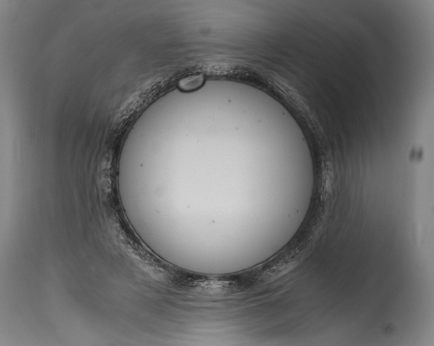 X0000115410497200911171403
