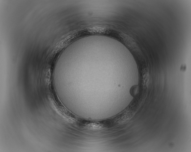 X0000115410498200911171403