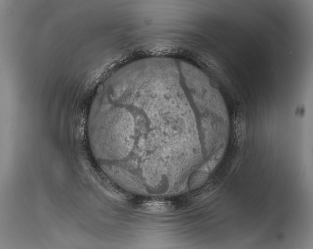 X0000115410499200911171403