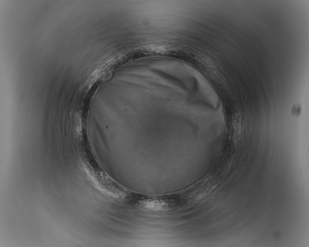 X0000115410500200911171403