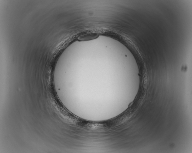 X0000115410501200911171403