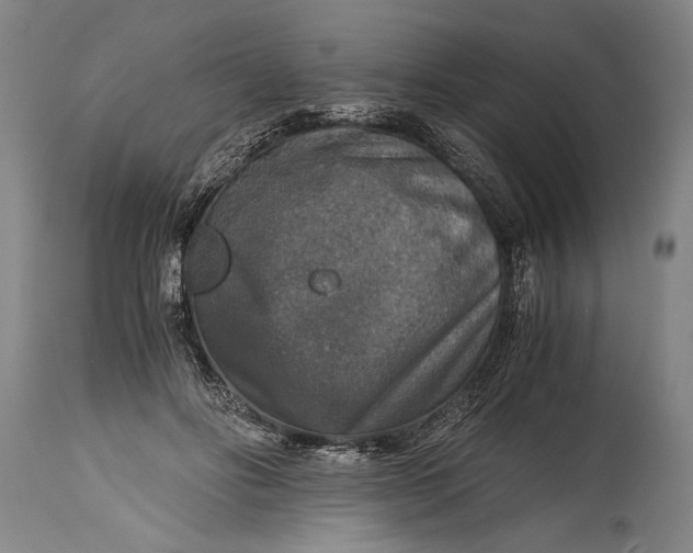 X0000115410502200911171403