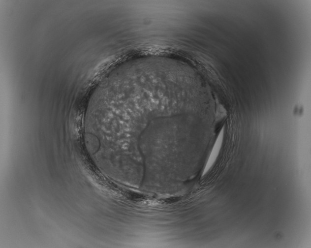 X0000115410503200911171403