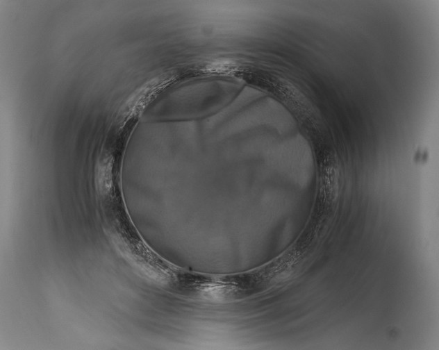 X0000115410504200911171403