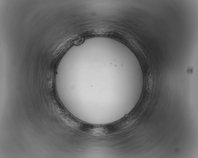 X0000115410505200911171403