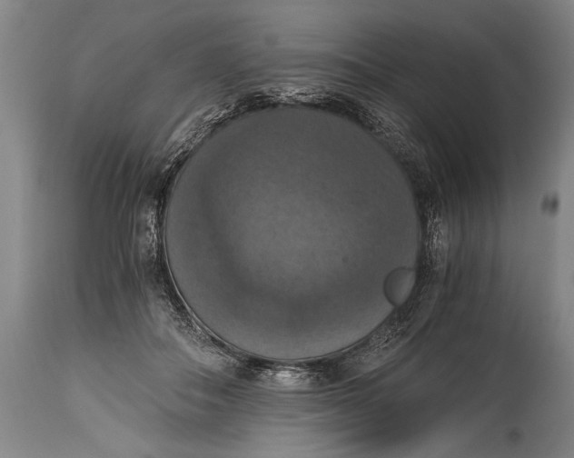X0000115410506200911171403