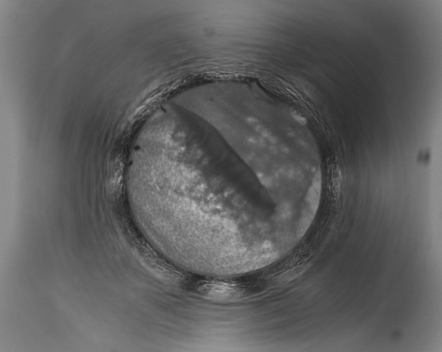 X0000115410507200911171403