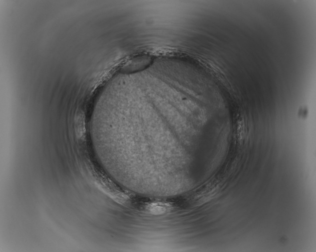 X0000115410508200911171403