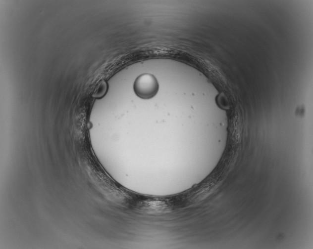 X0000115410509200911171403