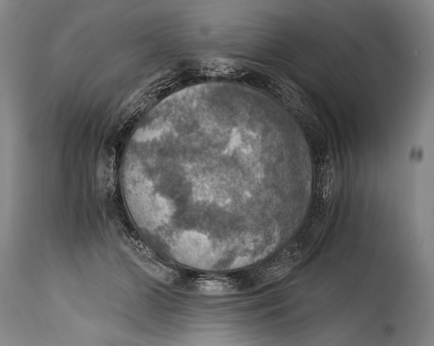 X0000115410510200911171403