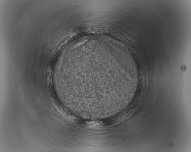 X0000115410511200911171403