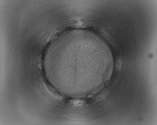 X0000115410512200911171403