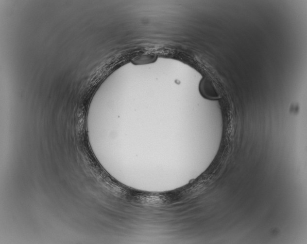 X0000115410513200911171403