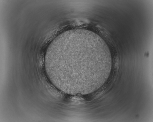 X0000115410515200911171403
