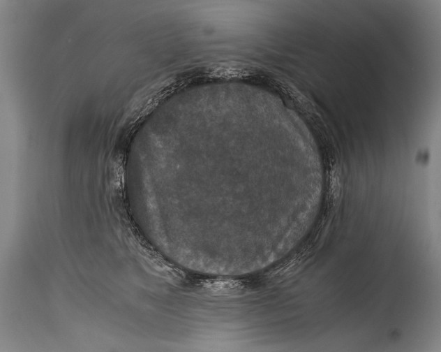 X0000115410517200911171403