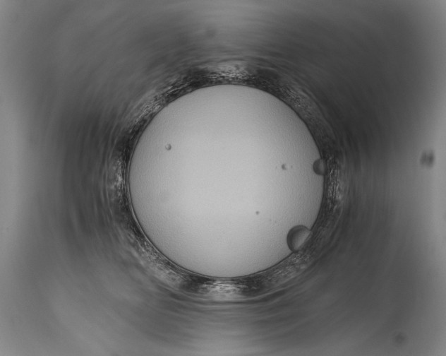 X0000115410518200911171403