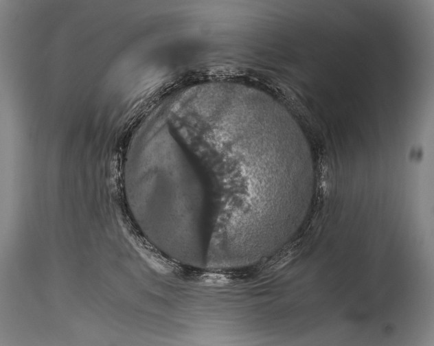 X0000115410519200911171403