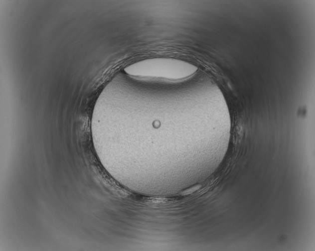 X0000115410521200911171403