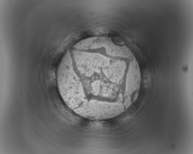 X0000115410523200911171402