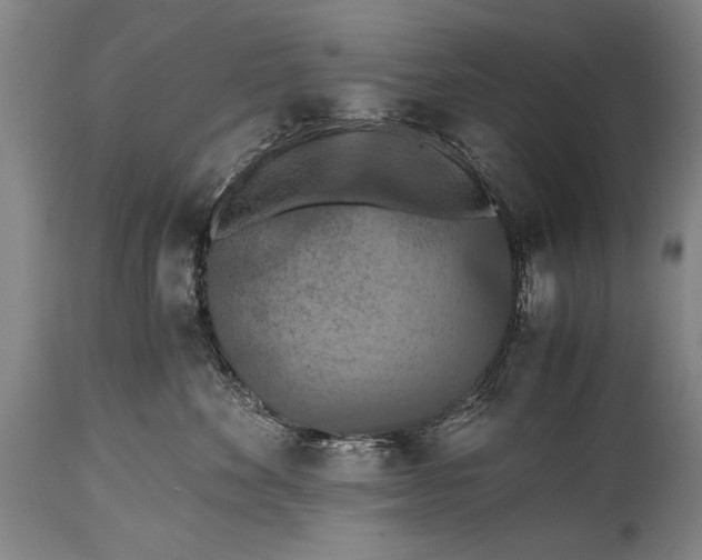 X0000115410524200911171402