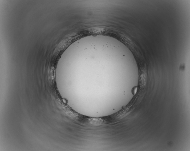 X0000115410525200911171402