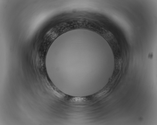 X0000115410526200911171402