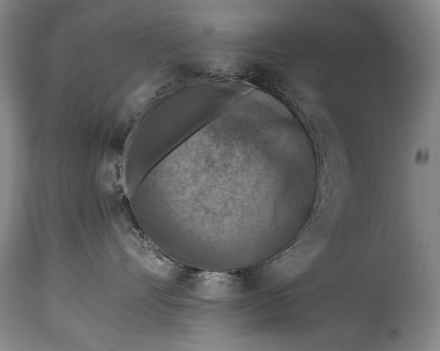 X0000115410528200911171402