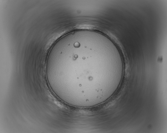 X0000115410529200911171402