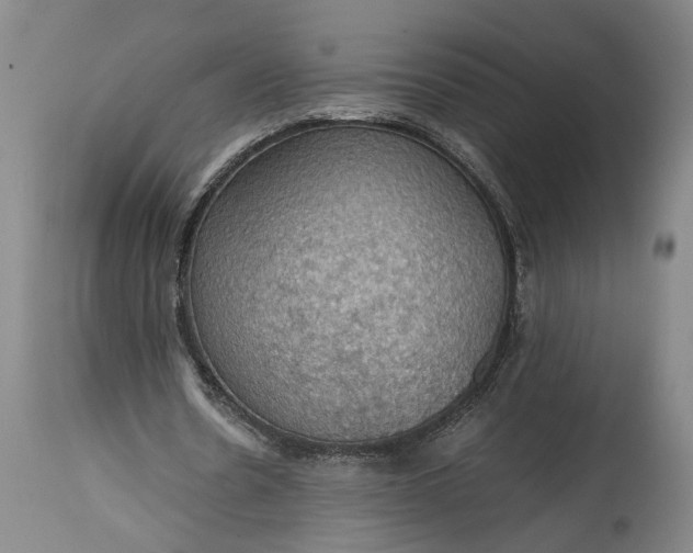X0000115410530200911171402