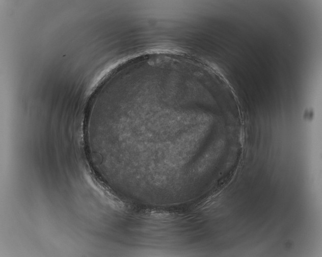 X0000115410531200911171402