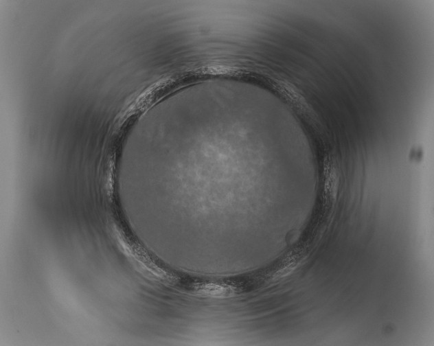 X0000115410542200911171402