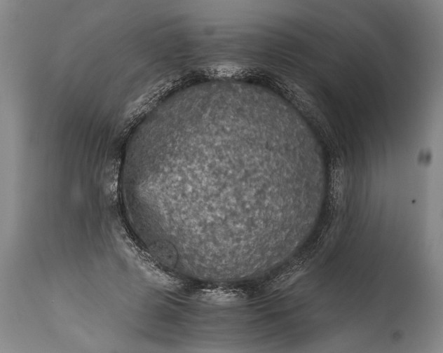 X0000115410545200911171402