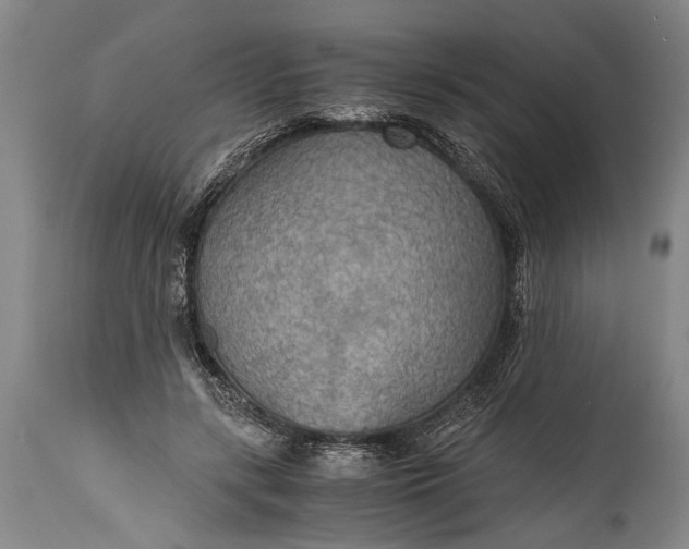 X0000115410547200911171402