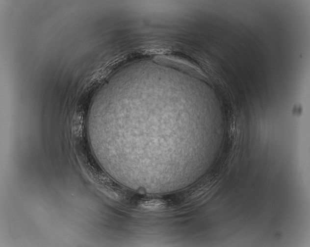 X0000115410551200911171402