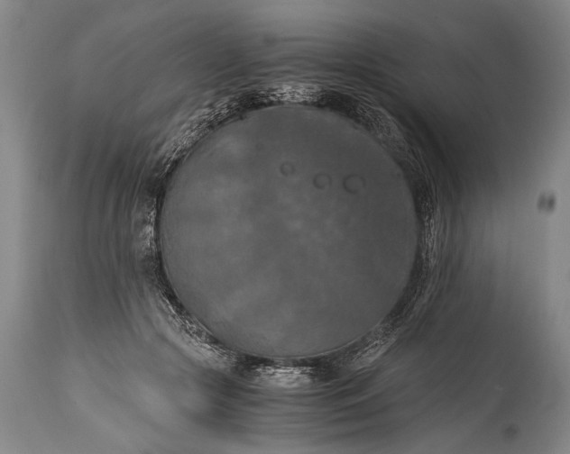 X0000115410553200911171402