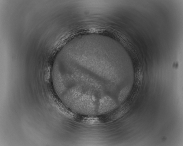 X0000115410554200911171402