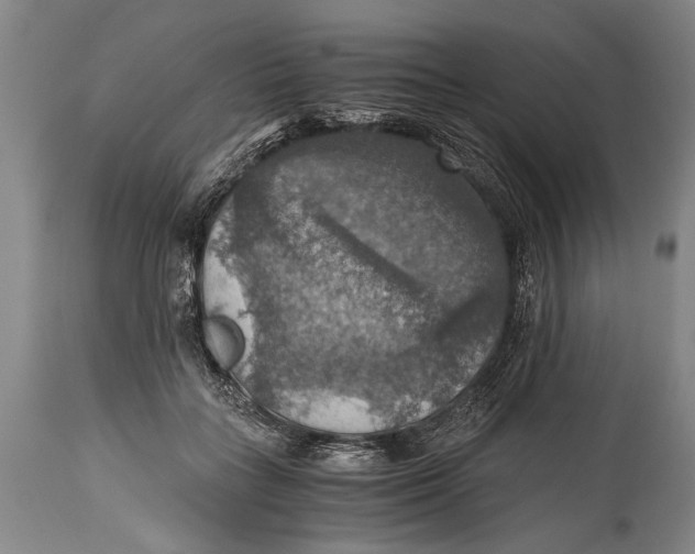 X0000115410555200911171402