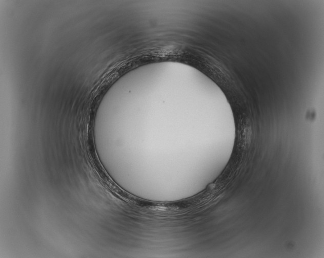 X0000115410558200911171402