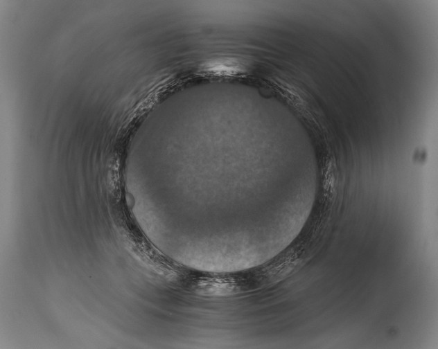 X0000115410559200911171402