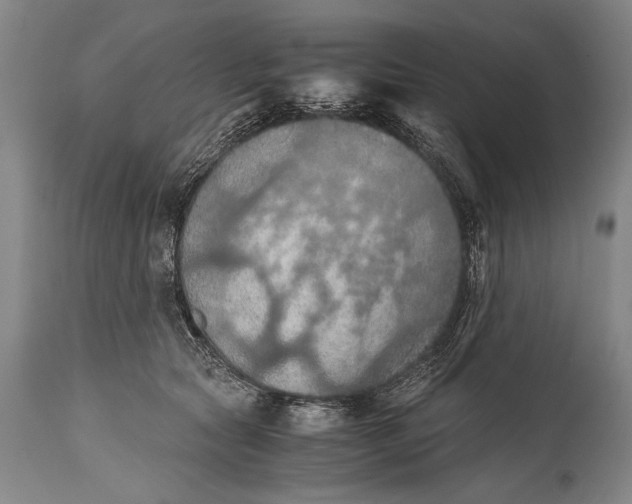 X0000115410561200911171402