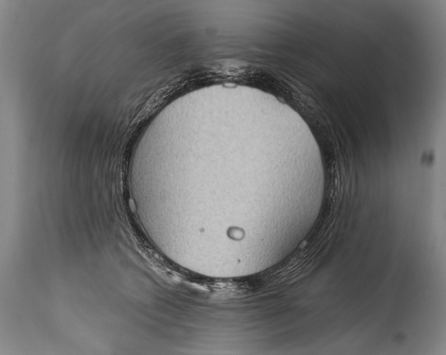 X0000115410562200911171402