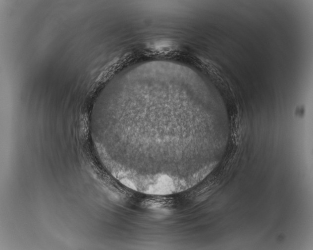 X0000115410563200911171402