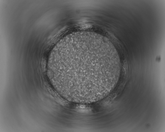 X0000115410565200911171402